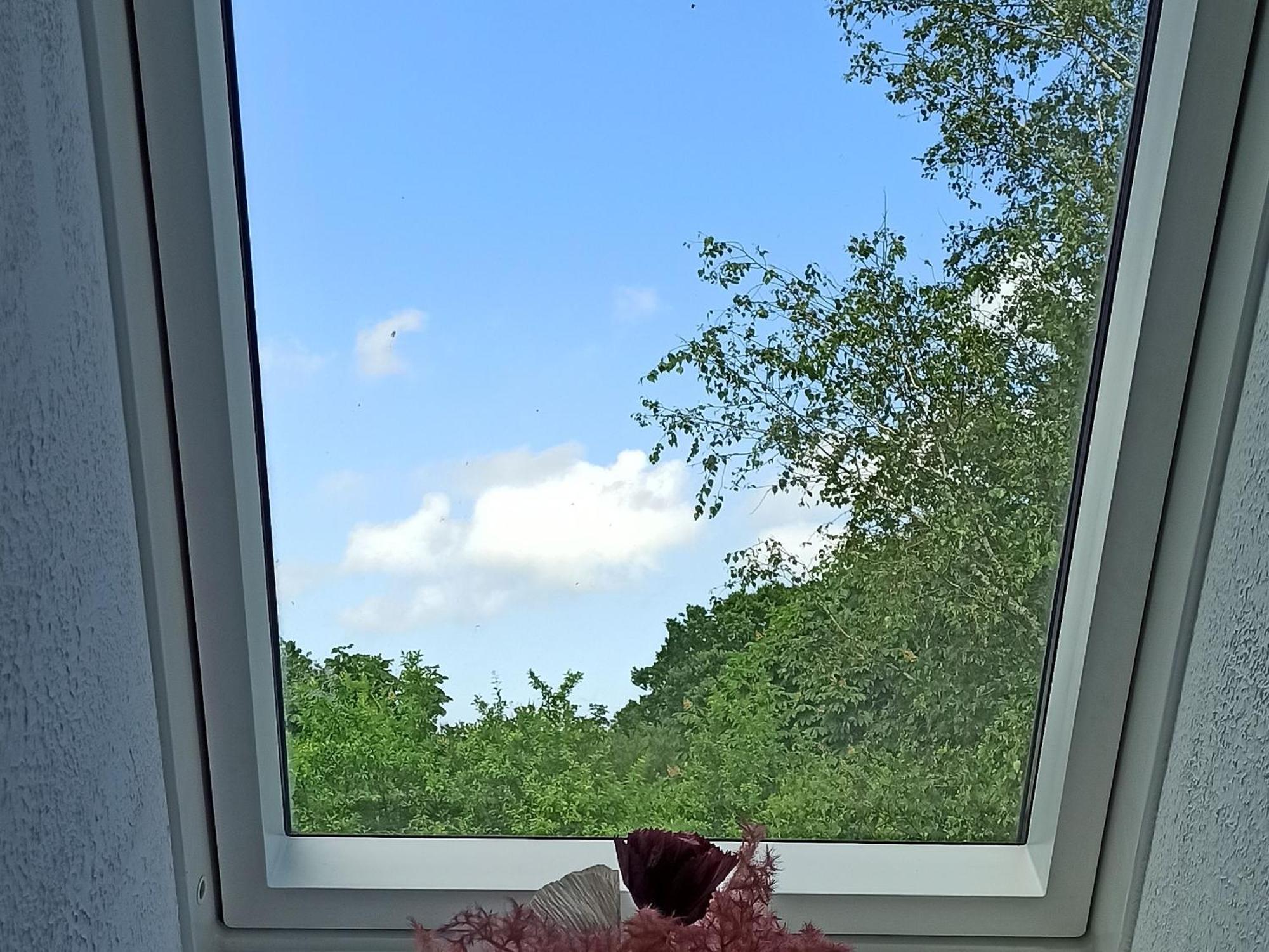 Ferienwohnung Kleiner Und Grosser Stern Stoltebull Экстерьер фото